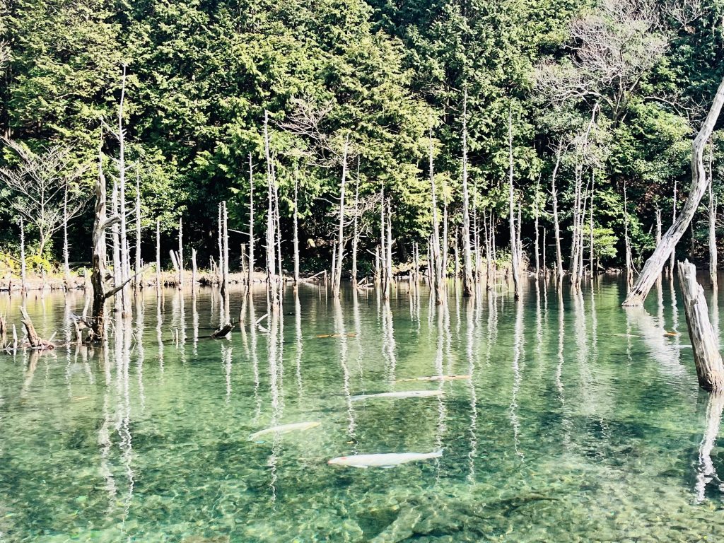 山口県東京観光物産センター